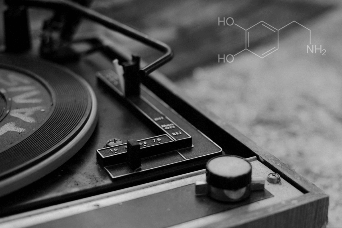 Dopamine Funk – Top Soul & Jazz-Funk Movements of All Time