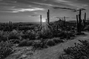 My mind trip in the desert.