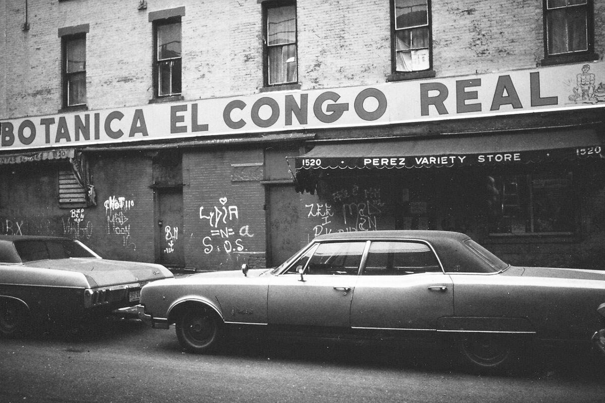 My Baby Likes to Boogaloo