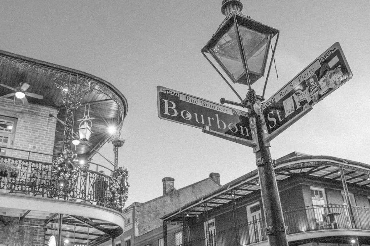 Chocolate Chip & Chicken Bone