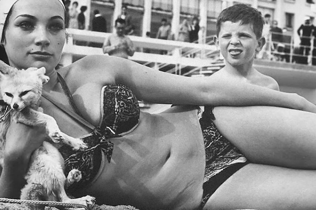 Amgwanna Kick Booty – Fat Boys in the Gym of Love